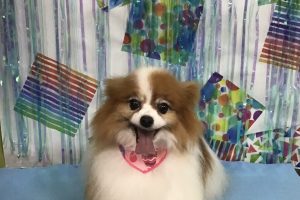 6月のお友達☆