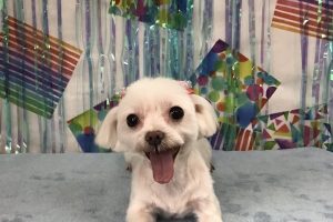 ６月のお友達☆