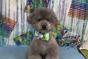 ６月のお友達☆