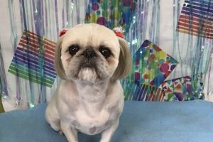 ６月のお友達☆