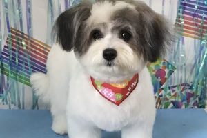 ６月のお友達☆