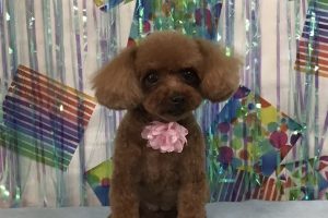 6月のお友達☆