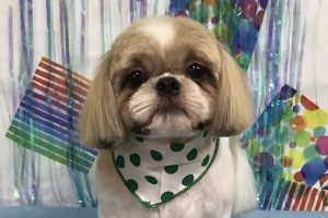 6月のお友達☆