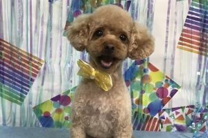 6月のお友達☆