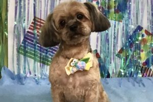 ６月のお友達☆