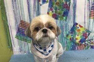 6月のお友達☆
