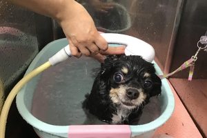 6月のお友達☆