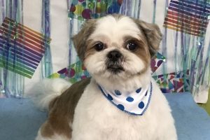 ６月のお友達☆
