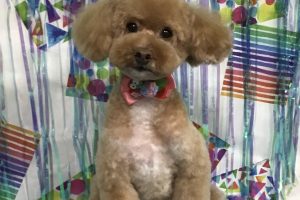 6月のお友達☆