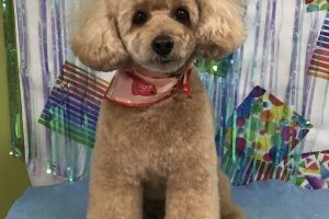 ６月のお友達☆