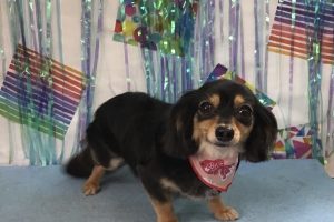 6月のお友達☆