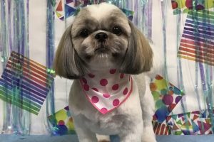 6月のお友達☆