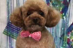 6月のお友達☆