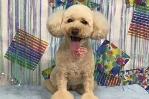 ６月のお友達☆