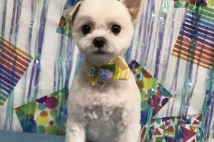 6月のお友達☆