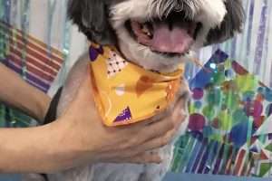 6月のお友達☆