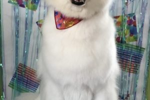 ６月のお友達☆