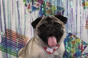 6月のお友達☆