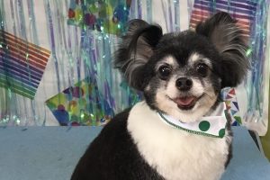6月のお友達☆