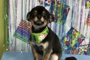 6月のお友達☆