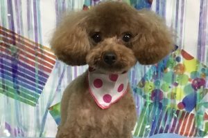 6月のお友達☆