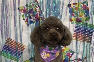 6月のお友達☆