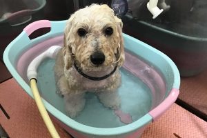 6月のお友達☆