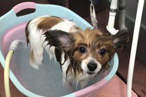 ６月のお友達☆