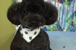 6月のお友達☆