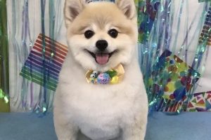 ６月のお友達☆