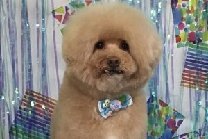 ６月のお友達☆