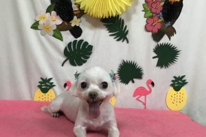 ７月のお友達☆