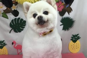 7月のお友達☆