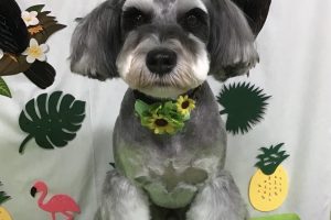 ７月のお友達☆