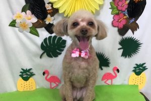 ７月のお友達☆