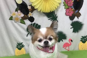 ７月のお友達☆