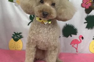 ７月のお友達☆