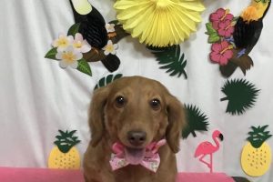 ７月のお友達☆