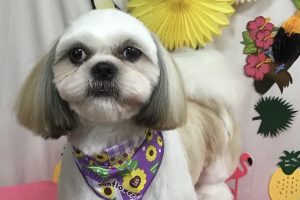 7月のお友達☆