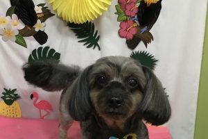 7月のお友達☆