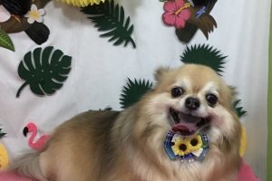 ７月のお友達☆