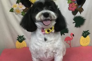 ７月のお友達☆
