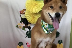 ７月のお友達☆