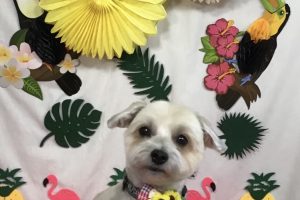 ７月のお友達☆