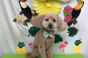 7月のお友達☆