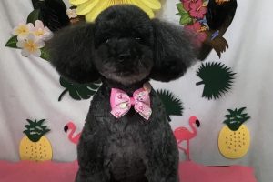 7月のお友達☆