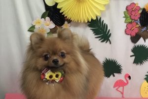 7月のお友達☆