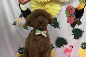 7月のお友達☆
