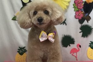 7月のお友達☆