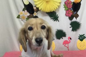 7月のお友達☆